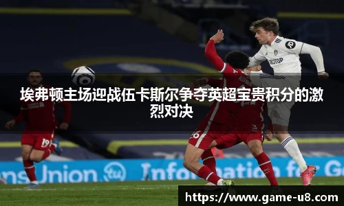 埃弗顿主场迎战伍卡斯尔争夺英超宝贵积分的激烈对决